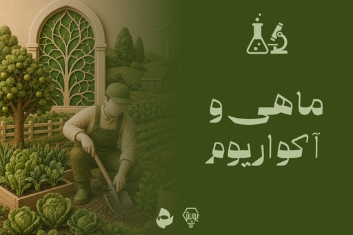 ماهی و آکواریوم